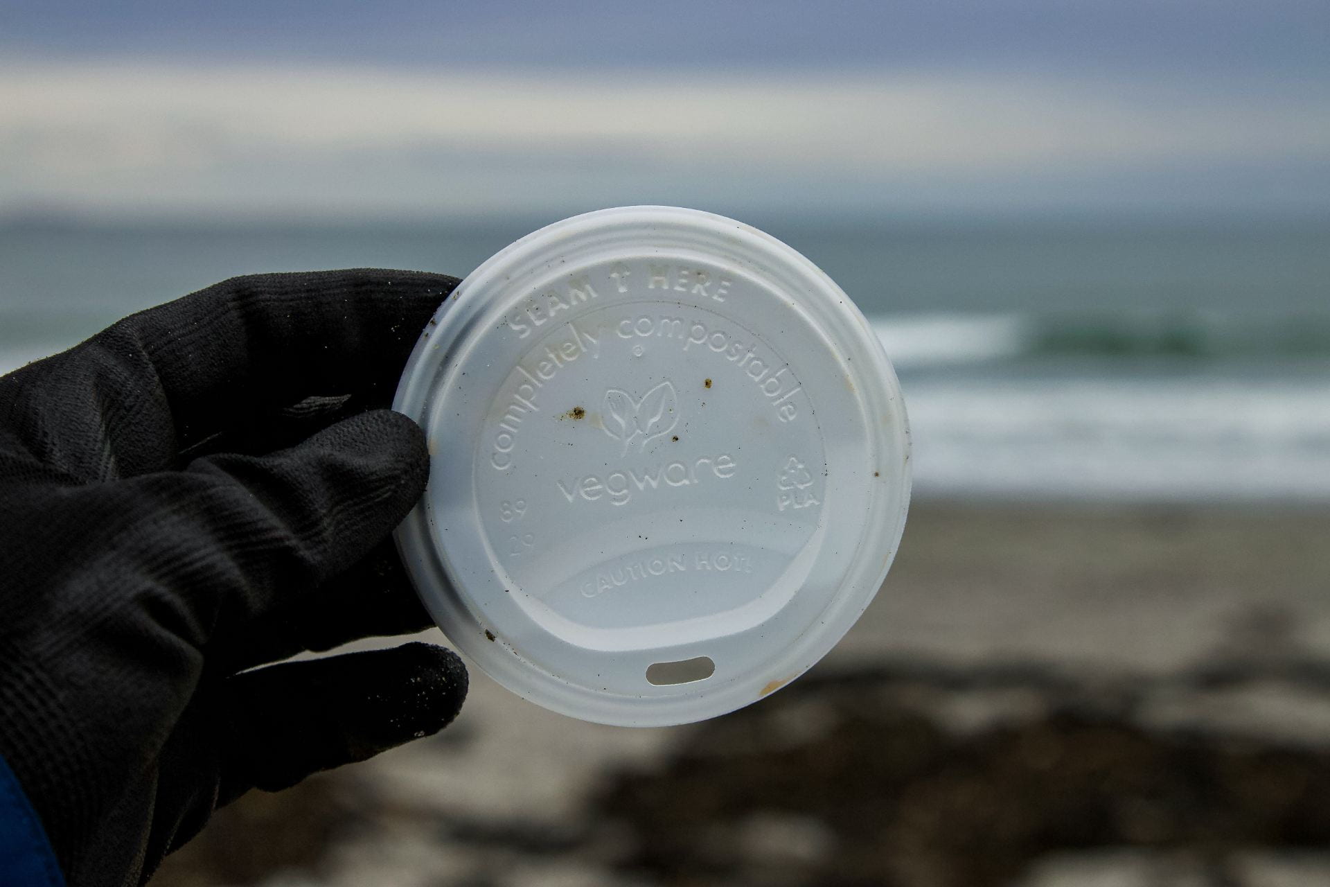 Compostable lid littering a beach